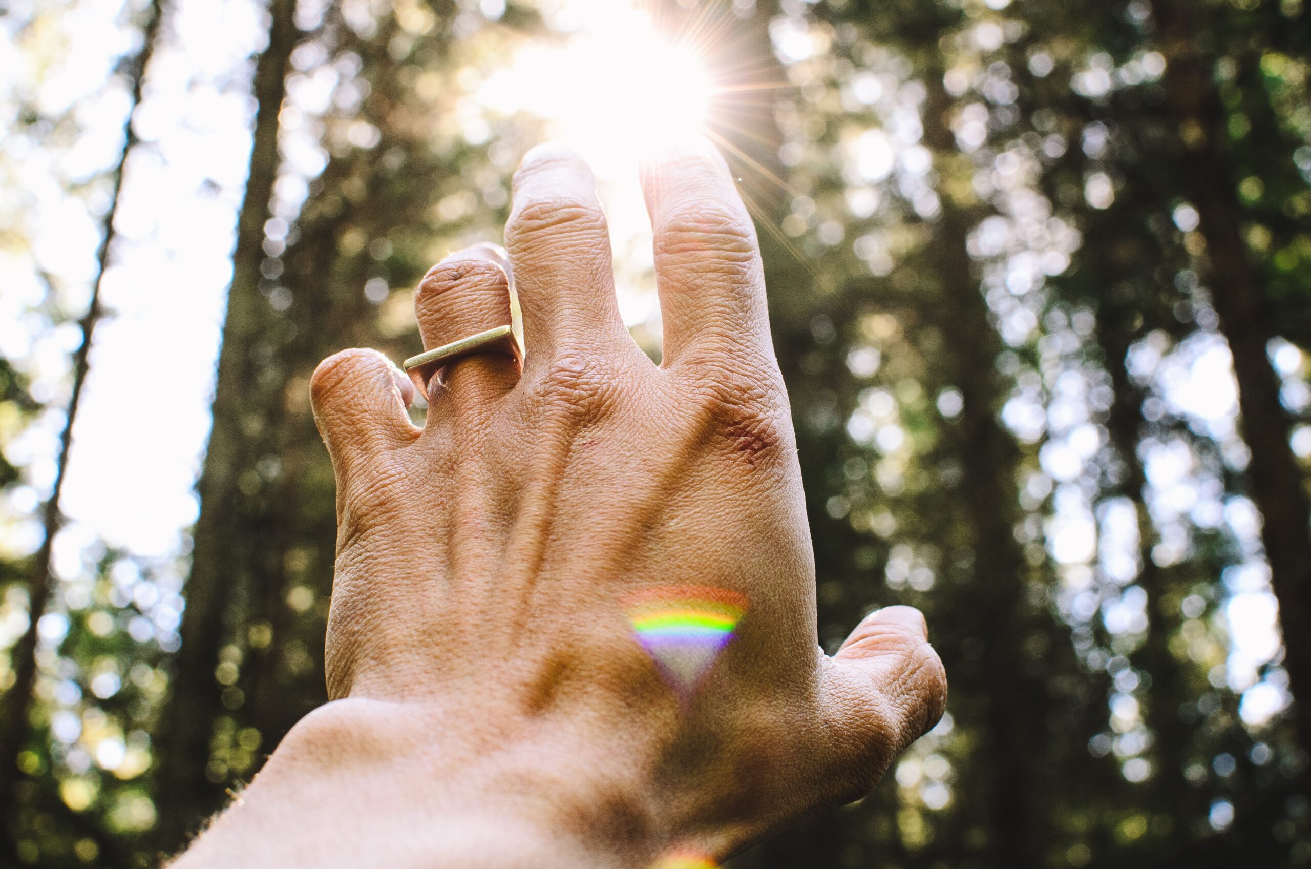 太陽に手を伸ばす男性の手